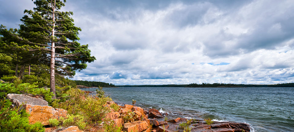 $30,000 Gift Creates the BDO Canada Telfer MBA Aboriginal Scholarship: Apply Now!
