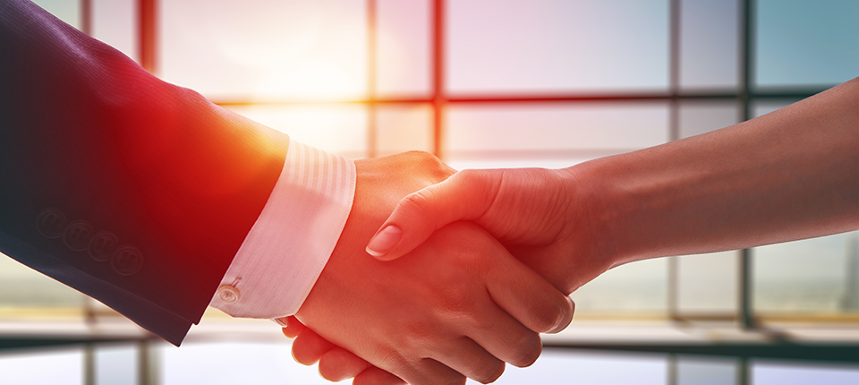 Professionals shaking hands